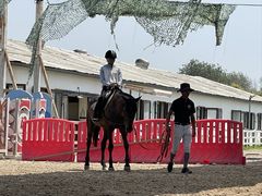 -北京群众马术培训基地