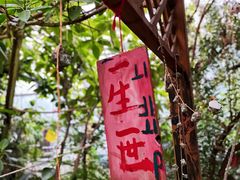 -呀路古热带植物园