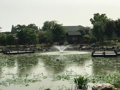 -鹅湖玫瑰文化园
