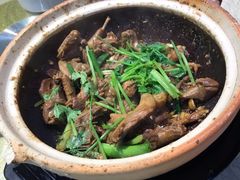 沙姜乳鸽-五邑人家(江门店)