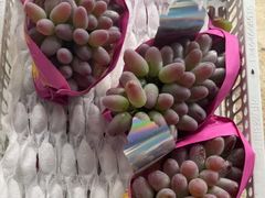 -马陆小张葡萄园农家乐