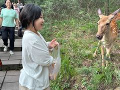 -大连森林动物园