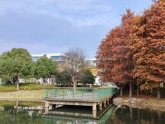 -尚贤河湿地
