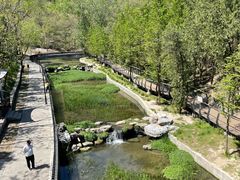 -白水寺森林公园