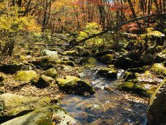 -丹东天桥沟景区