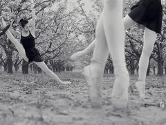 -理想国摄影(三塔店)