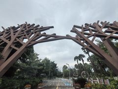 -西昌邛海湿地