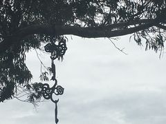 -豪拉基湾