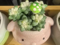 -绍兴启迪乔波冰雪世界