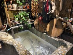 -小媳妇铁锅炖(安华街店)