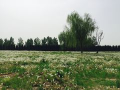 -汉长安城未央宫国家考古遗址公园