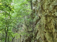 -大连天门山国家森林公园