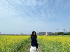 -光明小镇欢乐田园