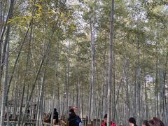 -陶祖圣境风景区