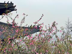 -杭州半山国家森林公园