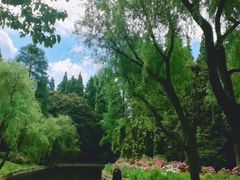 -上海滨江森林公园