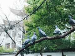 -西园戒幢律寺