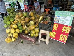 -东郊椰林