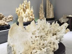-游龙石文化科普馆