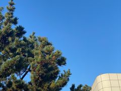 -上海和平饭店华懋阁 Cathay Room