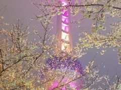 -东方明珠广播电视塔