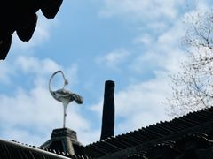 -上海醉白池公园
