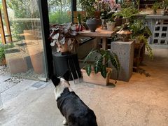 -自由生长植物工作室(深港花卉中心店)