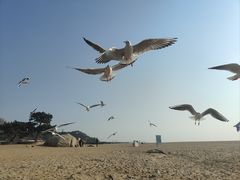 -老虎石海上公园
