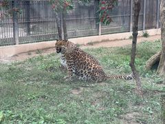 -石家庄市动物园