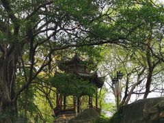 -乌山风景区