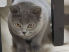 -爱定格照相馆.证件照(周浦万达店)