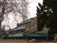 -武汉大学-樱园