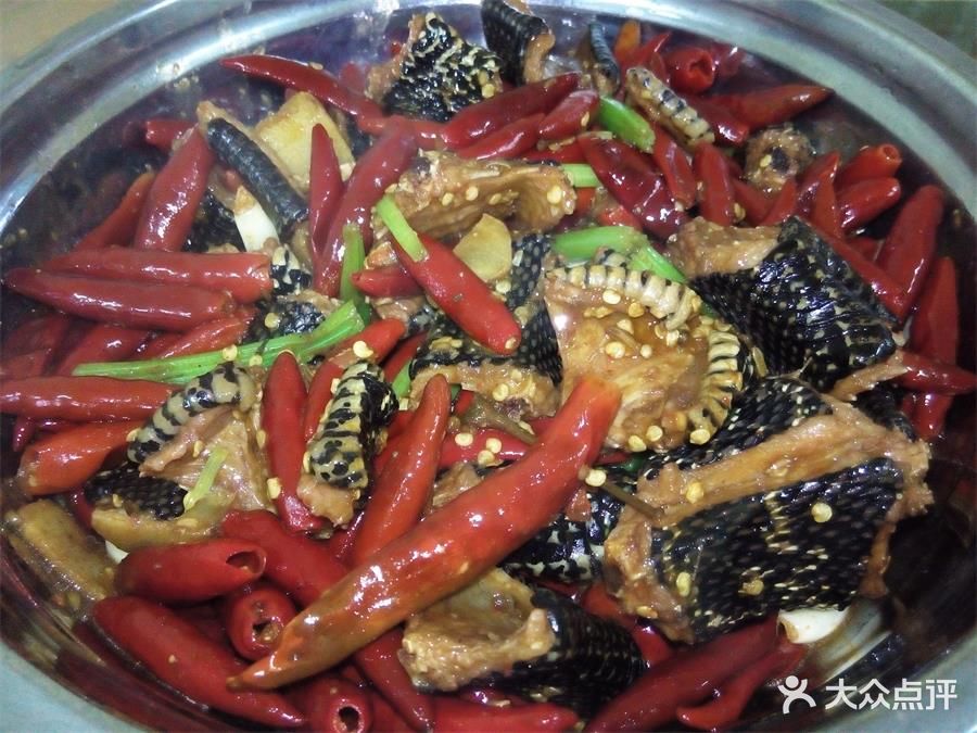 永州口味蛇图片