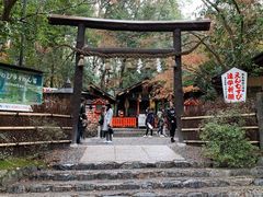 -野宫神社