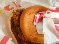 小炒肉风味麦辣鸡腿汉堡-麦当劳(朝阳北路店)