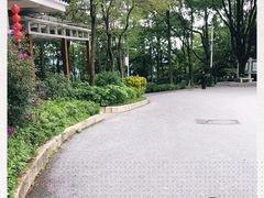 -广州市帽峰山景区