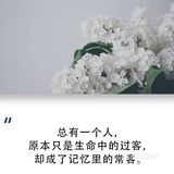 有一句话说：总有一个人，原本只是生命中的过客