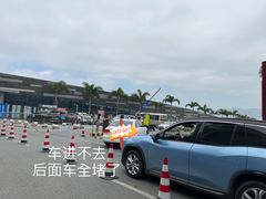 -野狸岛