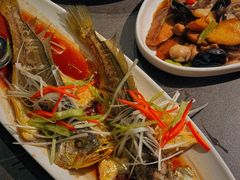 -前海沿·青岛菜(大拇指广场石老人店)