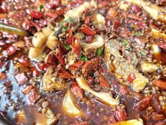 麻辣江团-汉水缘鲜鱼庄(黄雁村店)