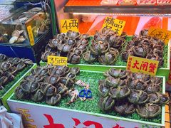 -黄沙水产交易市场