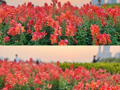 -海心沙亚运公园