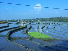 -庐州太太(双岗店)