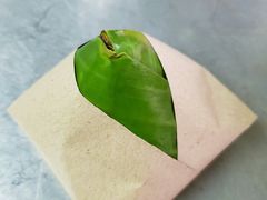 -多春茶室