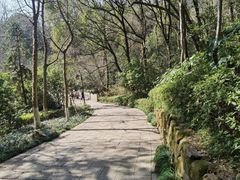 -杭州半山国家森林公园