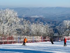 -亚布力新体委滑雪场