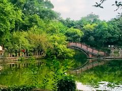 -房湖公园