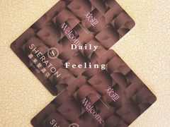 -西安赛瑞喜来登大酒店