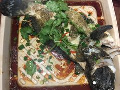 老虎斑-盒马鲜生(悦峰店)