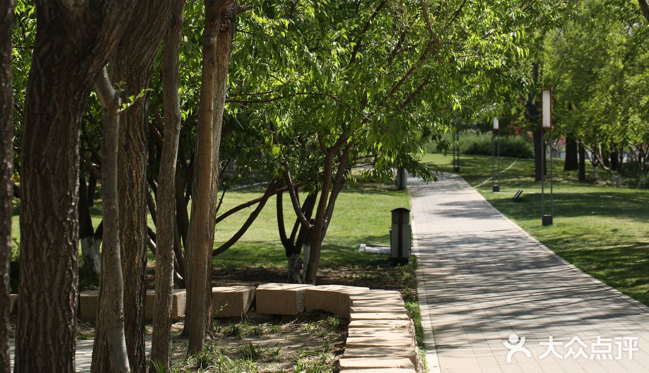 春色正好,游客不少。疫情前只有附近居民饭后来遛达